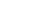 PDF Icon